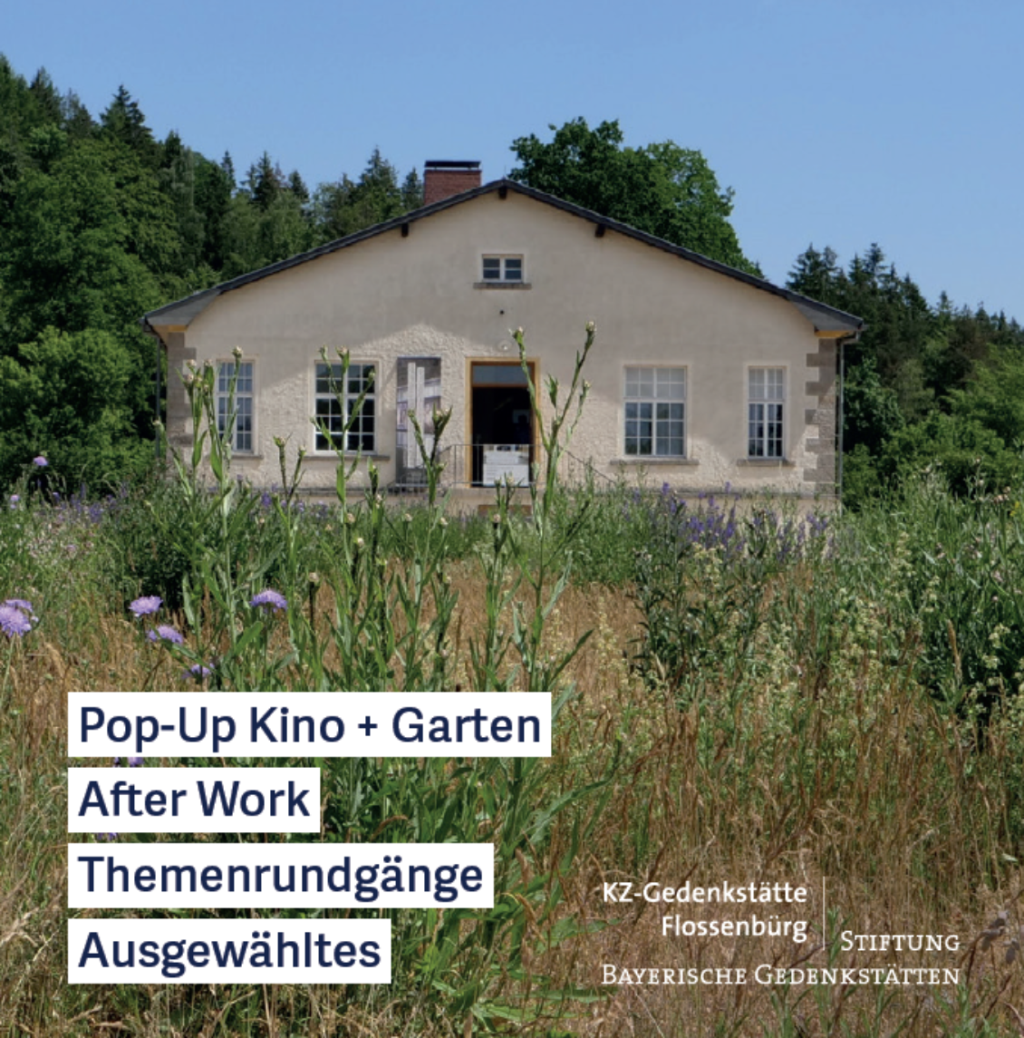 Sommerprogramm Cover klein